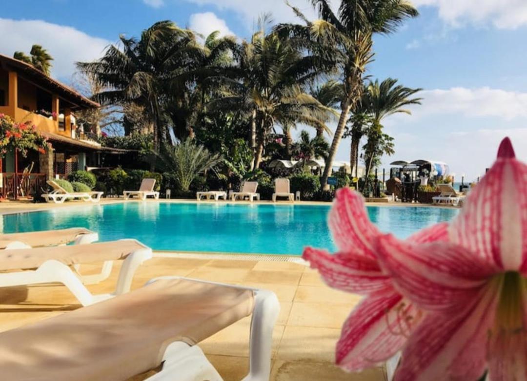 Beach Front Ocean View Porto Antigo2 Santa Maria Ngoại thất bức ảnh